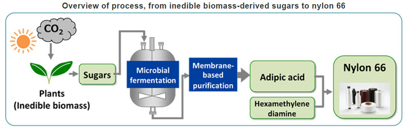 Toray innovates 100% bio-based adipic acid for PA66