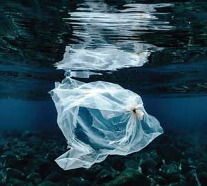 A sea of solutions to keep plastics at bay