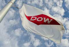 Dow to build US$250 mn specialities hub in South China