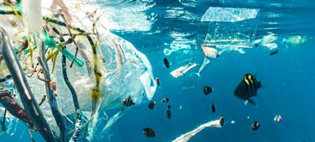 UN’s roadmap to slash plastic pollution by 80% by 2040