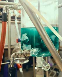 Loop to set up PET recycling plant in Gujarat; Syntetica/Michelin advance nylon recycling in France