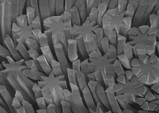 Toray develops polyester-nylon fibre with high recycled content